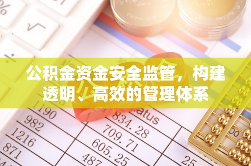 四湖公积金资金安全监管，构建透明、高效的管理体系