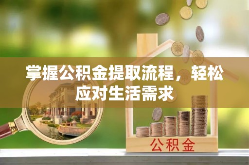 四湖掌握公积金提取流程，轻松应对生活需求