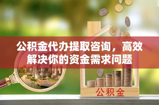 四湖公积金代办提取咨询，高效解决你的资金需求问题