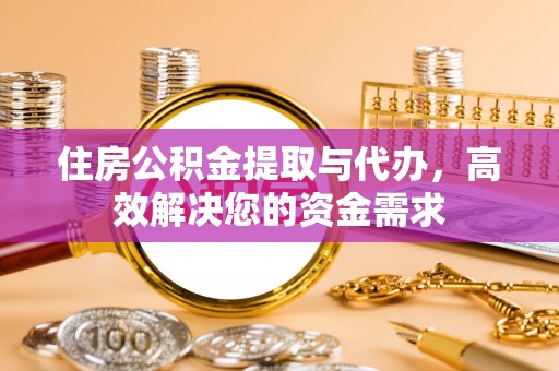 四湖住房公积金提取与代办，高效解决您的资金需求