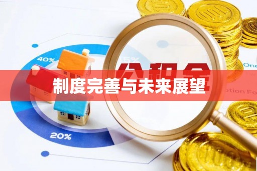 四湖制度完善与未来展望