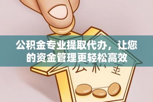 四湖公积金专业提取代办，让您的资金管理更轻松高效