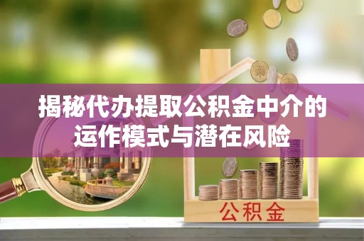 四湖揭秘代办提取公积金中介的运作模式与潜在风险