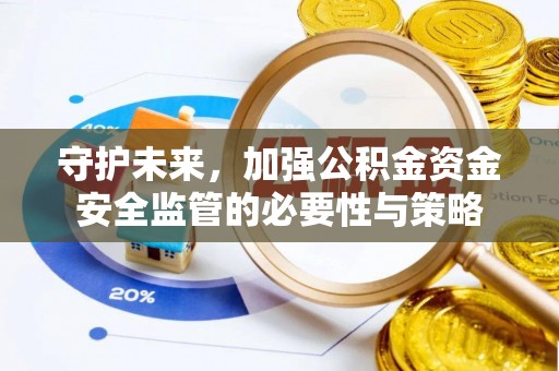 四湖守护未来，加强公积金资金安全监管的必要性与策略