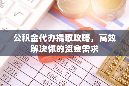 四湖公积金代办提取攻略，高效解决你的资金需求