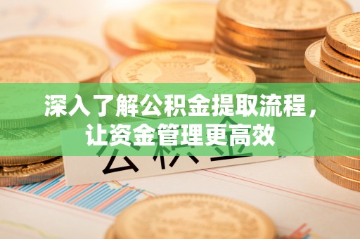 四湖深入了解公积金提取流程，让资金管理更高效