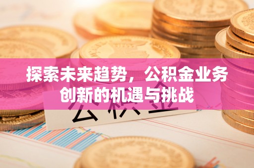 四湖探索未来趋势，公积金业务创新的机遇与挑战