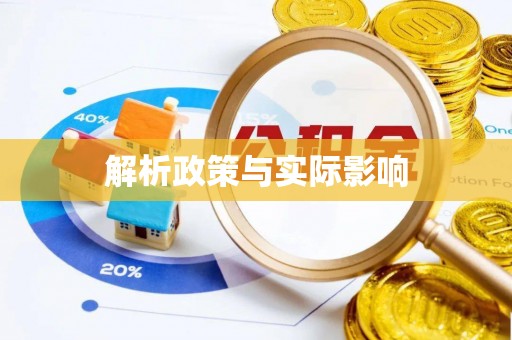 四湖解析政策与实际影响