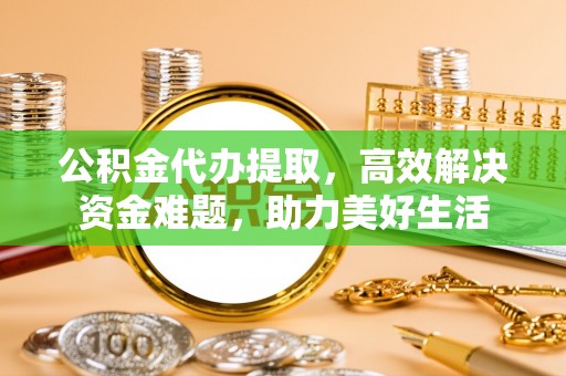 四湖公积金代办提取，高效解决资金难题，助力美好生活
