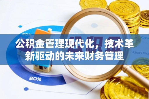 四湖公积金管理现代化，技术革新驱动的未来财务管理