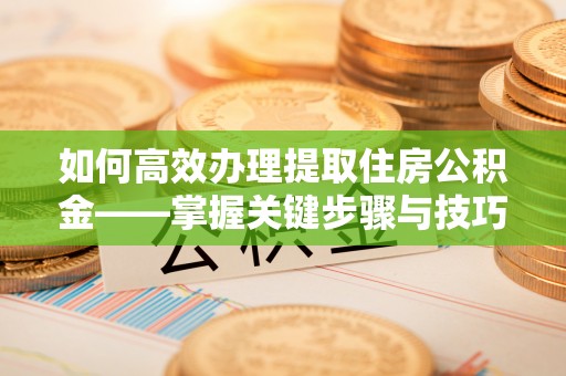 四湖如何高效办理提取住房公积金——掌握关键步骤与技巧
