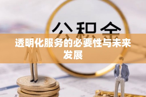四湖透明化服务的必要性与未来发展