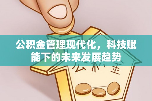 四湖公积金管理现代化，科技赋能下的未来发展趋势