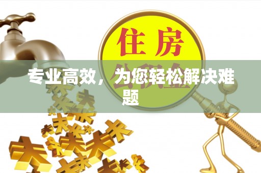 四湖专业高效，为您轻松解决难题