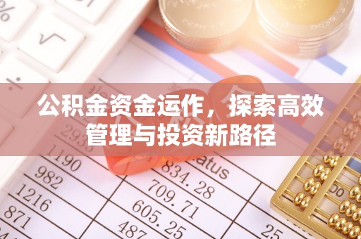 四湖公积金资金运作，探索高效管理与投资新路径