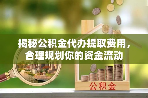 四湖揭秘公积金代办提取费用，合理规划你的资金流动