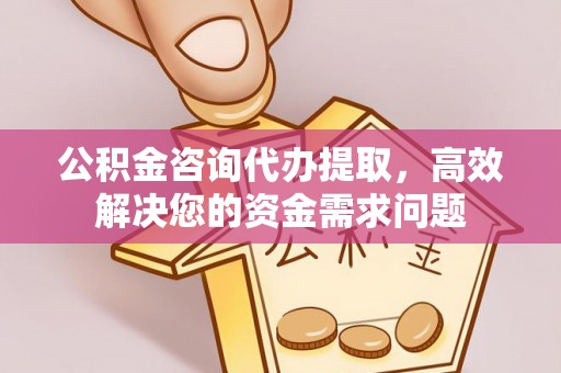 四湖公积金咨询代办提取，高效解决您的资金需求问题