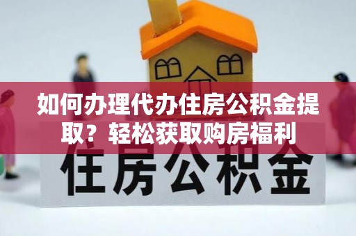 四湖如何办理代办住房公积金提取？轻松获取购房福利