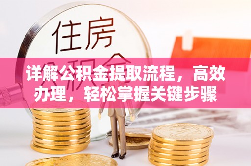 四湖详解公积金提取流程，高效办理，轻松掌握关键步骤