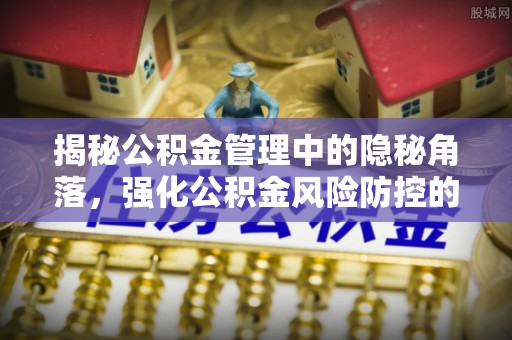 四湖揭秘公积金管理中的隐秘角落，强化公积金风险防控的必要性与路径