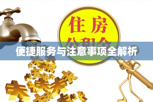 四湖便捷服务与注意事项全解析
