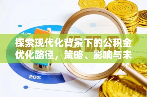 四湖探索现代化背景下的公积金优化路径，策略、影响与未来展望