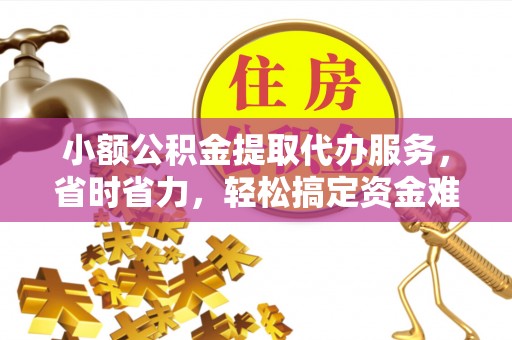 四湖小额公积金提取代办服务，省时省力，轻松搞定资金难题
