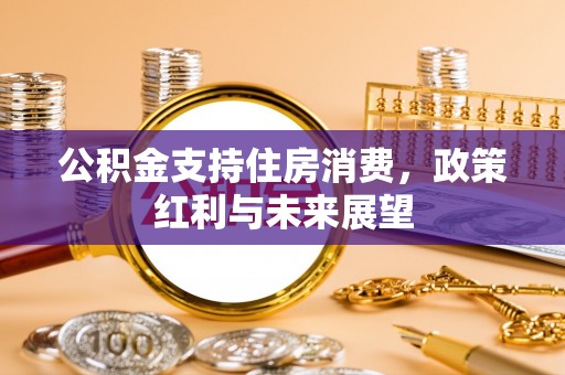 四湖公积金支持住房消费，政策红利与未来展望