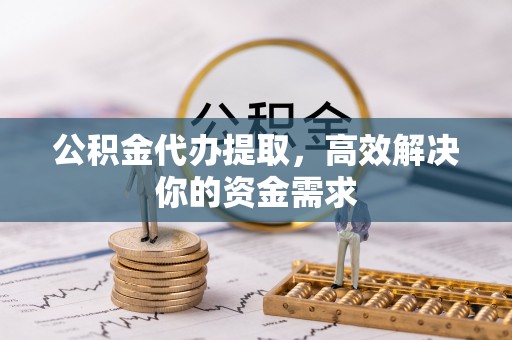 四湖公积金代办提取，高效解决你的资金需求