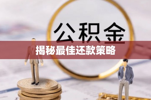 四湖揭秘最佳还款策略