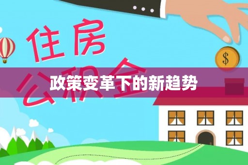 四湖政策变革下的新趋势