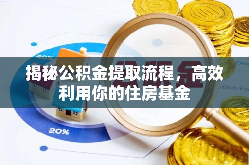 四湖揭秘公积金提取流程，高效利用你的住房基金