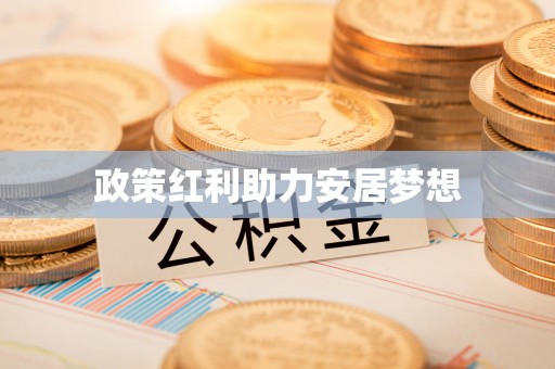 四湖政策红利助力安居梦想