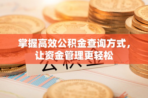 四湖掌握高效公积金查询方式，让资金管理更轻松