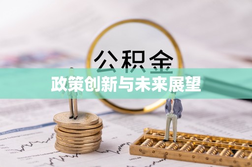 四湖政策创新与未来展望