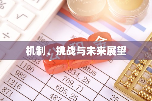 四湖机制、挑战与未来展望