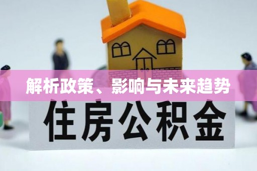 四湖解析政策、影响与未来趋势