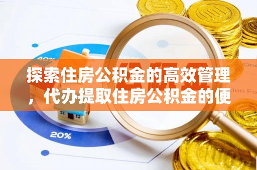 四湖探索住房公积金的高效管理，代办提取住房公积金的便利与注意事项