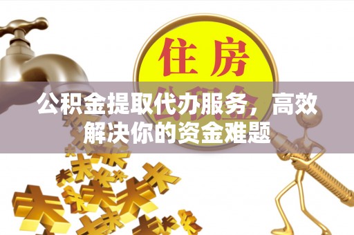四湖公积金提取代办服务，高效解决你的资金难题