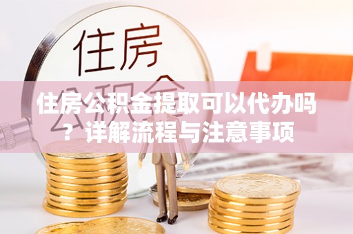 四湖住房公积金提取可以代办吗？详解流程与注意事项