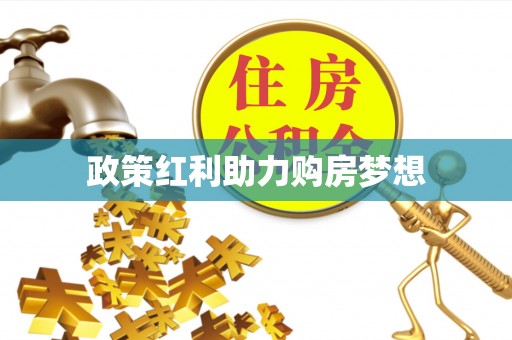 四湖政策红利助力购房梦想